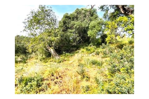 Helårsgrund i Quelfes, Faro, Quelfes - € 250.000 | Ref: SÒL372 - foto 8