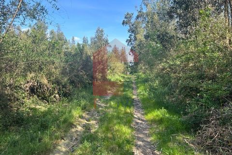 Helårsgrund i Vila Verde, Braga, Vila Verde - € 120.000 | Ref: 08058 - foto 6