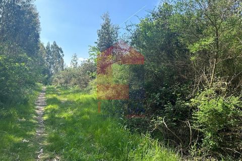 Helårsgrund i Vila Verde, Braga, Vila Verde - € 120.000 | Ref: 08058 - foto 7