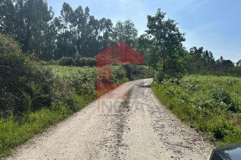 Helårsgrund i Vila Verde, Braga, Vila Verde - € 120.000 | Ref: 08058 - foto 10