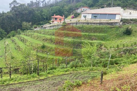 Helårsgrund i Vila Verde, Braga, Vila Verde - € 33.150 | Ref: 08059 - foto 3