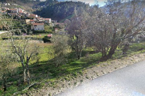 Helårsgrund i Amarante, Porto, Amarante - € 15.500 | Ref: 978,3 - foto 4