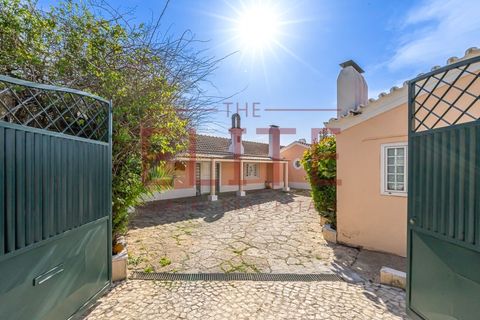 Farm i Carcavelos, Lisbon, Carcavelos - € 7.500.000 | Ref: ELT-25 - foto 4