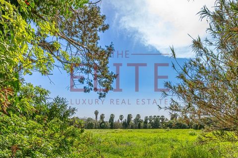 Farm i Carcavelos, Lisbon, Carcavelos - € 7.500.000 | Ref: ELT-25 - foto 10