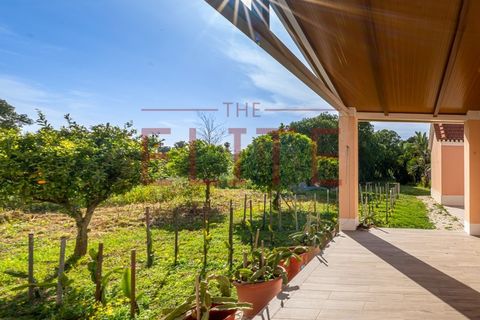 Farm i Carcavelos, Lisbon, Carcavelos - € 7.500.000 | Ref: ELT-25 - foto 42