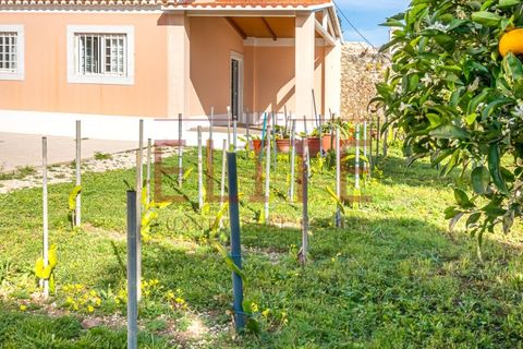 Farm i Carcavelos, Lisbon, Carcavelos - € 7.500.000 | Ref: ELT-25 - foto 43