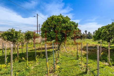 Farm i Carcavelos, Lisbon, Carcavelos - € 7.500.000 | Ref: ELT-25 - foto 44