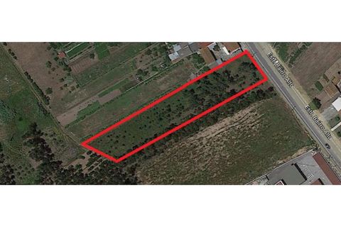 Helårsgrund i Lavos, Coimbra, Lavos - € 97.000 | Ref: FH1613 - foto 1