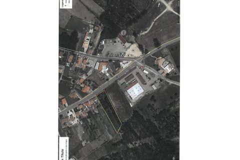 Helårsgrund i Lavos, Coimbra, Lavos - € 97.000 | Ref: FH1613 - foto 3