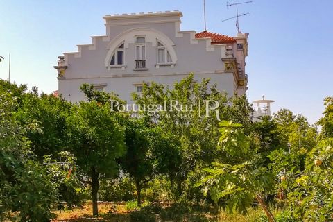 Villa a Estremoz, Evora, Estremoz - € 1.500.000 | Ref: 654 - foto 2