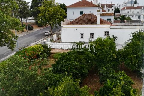 Villa a Estremoz, Evora, Estremoz - € 1.500.000 | Ref: 654 - foto 35