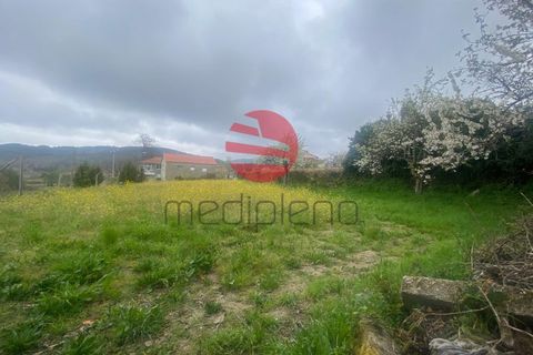 Landejendom i Moimenta da Beira, Viseu, Moimenta da Beira - € 47.500 | Ref: 1686 - foto 4