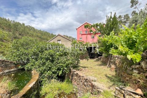 Farm i Cambas, Castelo Branco, Cambas - € 195.000 | Ref: 899-3 - foto 3