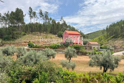 Farm i Cambas, Castelo Branco, Cambas - € 195.000 | Ref: 899-3 - foto 4