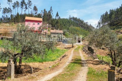 Farm i Cambas, Castelo Branco, Cambas - € 195.000 | Ref: 899-3 - foto 5