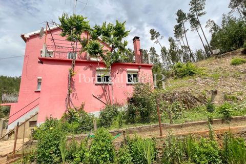 Farm i Cambas, Castelo Branco, Cambas - € 195.000 | Ref: 899-3 - foto 6