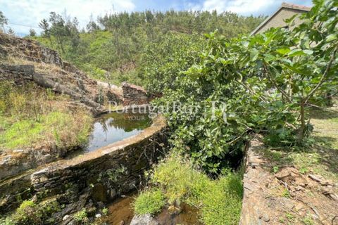 Farm i Cambas, Castelo Branco, Cambas - € 195.000 | Ref: 899-3 - foto 8