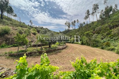 Farm i Cambas, Castelo Branco, Cambas - € 195.000 | Ref: 899-3 - foto 9