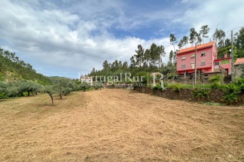 Farm i Cambas, Castelo Branco, Cambas - € 195.000 | Ref: 899-3 - foto 10