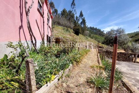 Farm i Cambas, Castelo Branco, Cambas - € 195.000 | Ref: 899-3 - foto 11