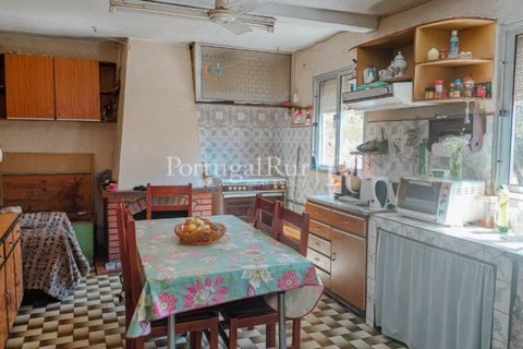 Farm i Cambas, Castelo Branco, Cambas - € 195.000 | Ref: 899-3 - foto 16
