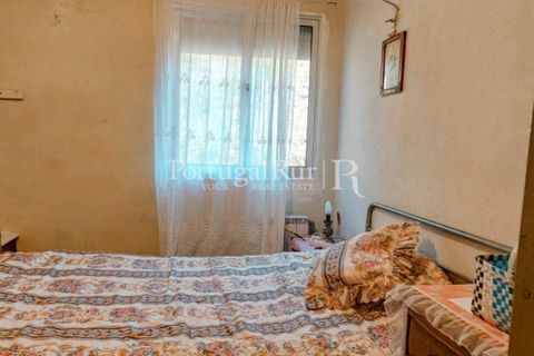 Farm i Cambas, Castelo Branco, Cambas - € 195.000 | Ref: 899-3 - foto 18