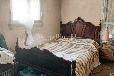 Farm i Cambas, Castelo Branco, Cambas - € 195.000 | Ref: 899-3 - foto 24