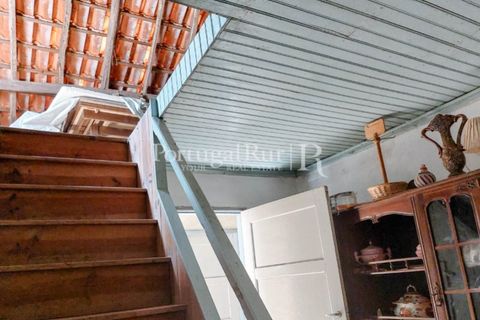 Farm i Cambas, Castelo Branco, Cambas - € 195.000 | Ref: 899-3 - foto 27
