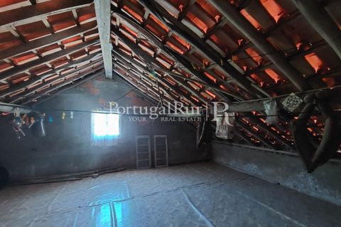 Farm i Cambas, Castelo Branco, Cambas - € 195.000 | Ref: 899-3 - foto 28