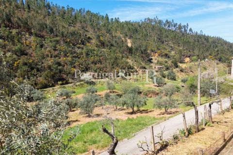 Farm i Cambas, Castelo Branco, Cambas - € 195.000 | Ref: 899-3 - foto 29