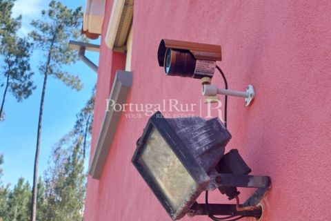 Farm i Cambas, Castelo Branco, Cambas - € 195.000 | Ref: 899-3 - foto 31