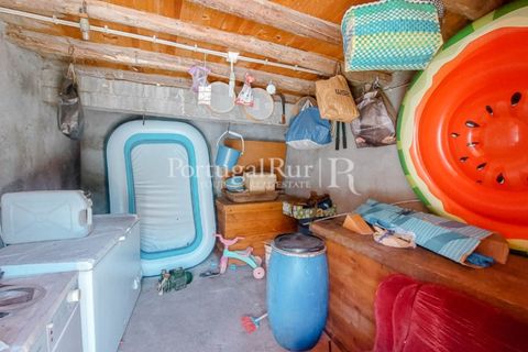 Farm i Cambas, Castelo Branco, Cambas - € 195.000 | Ref: 899-3 - foto 32