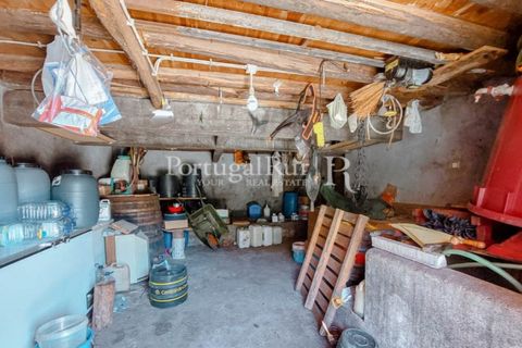 Farm i Cambas, Castelo Branco, Cambas - € 195.000 | Ref: 899-3 - foto 33