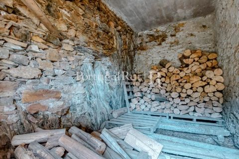 Farm i Cambas, Castelo Branco, Cambas - € 195.000 | Ref: 899-3 - foto 37