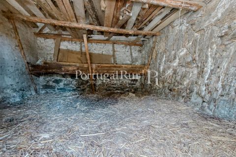 Farm i Cambas, Castelo Branco, Cambas - € 195.000 | Ref: 899-3 - foto 39
