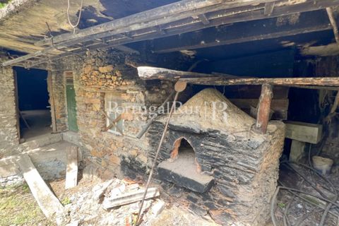 Farm i Cambas, Castelo Branco, Cambas - € 195.000 | Ref: 899-3 - foto 42