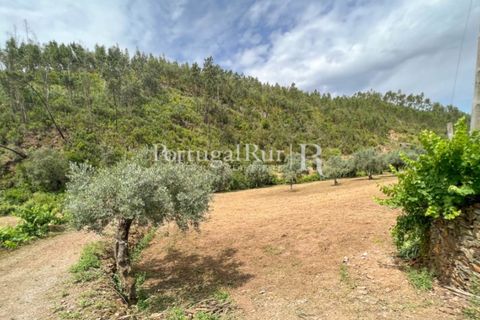 Farm i Cambas, Castelo Branco, Cambas - € 195.000 | Ref: 899-3 - foto 47
