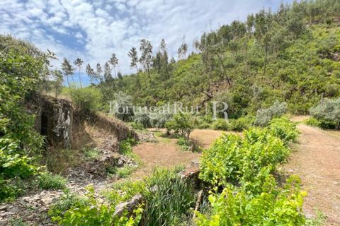 Farm i Cambas, Castelo Branco, Cambas - € 195.000 | Ref: 899-3 - foto 48
