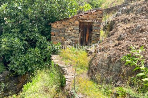 Farm i Cambas, Castelo Branco, Cambas - € 195.000 | Ref: 899-3 - foto 49