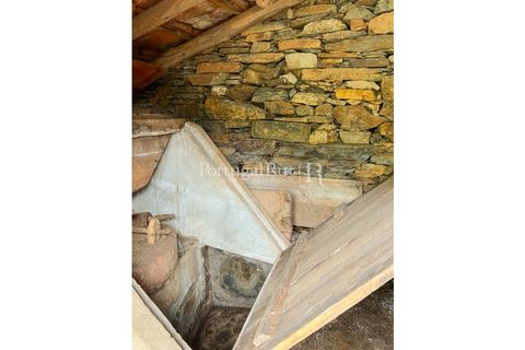 Farm i Cambas, Castelo Branco, Cambas - € 195.000 | Ref: 899-3 - foto 50