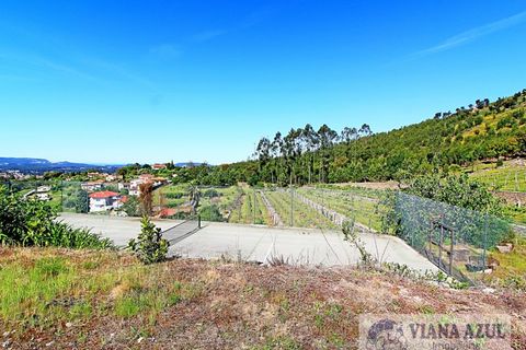 Farm i Barroselas, Viana do Castelo, Barroselas - € 1.350.000 | Ref: 1398 - foto 15