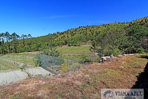 Farm i Barroselas, Viana do Castelo, Barroselas - € 1.350.000 | Ref: 1398 - foto 16