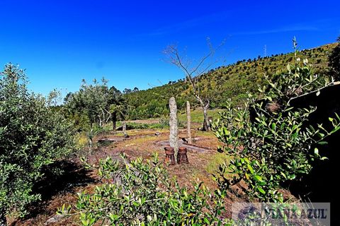 Farm i Barroselas, Viana do Castelo, Barroselas - € 1.350.000 | Ref: 1398 - foto 18