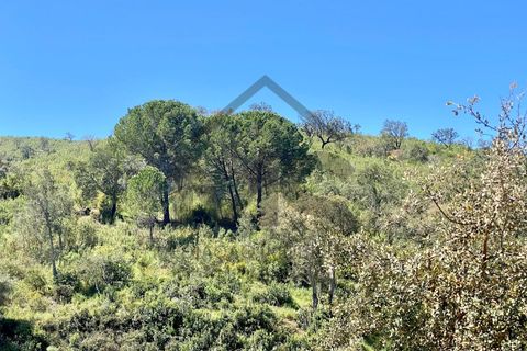 Helårsgrund i Silves, Faro, Silves - € 390.000 | Ref: MS083 - foto 5
