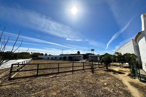 Villa i Algoz, Faro, Algoz - € 1.790.000 | Ref: 4231 - foto 17