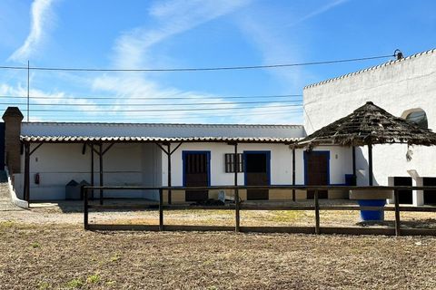 Villa i Algoz, Faro, Algoz - € 1.790.000 | Ref: 4231 - foto 21