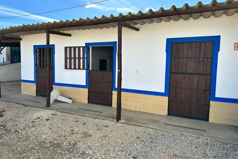 Villa i Algoz, Faro, Algoz - € 1.790.000 | Ref: 4231 - foto 22