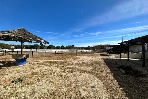 Villa i Algoz, Faro, Algoz - € 1.790.000 | Ref: 4231 - foto 23