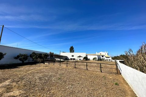 Villa i Algoz, Faro, Algoz - € 1.790.000 | Ref: 4231 - foto 26