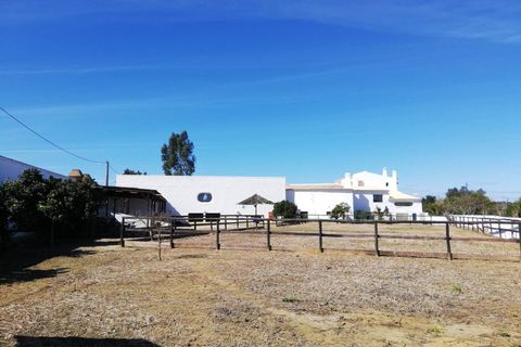 Villa i Algoz, Faro, Algoz - € 1.790.000 | Ref: 4231 - foto 29